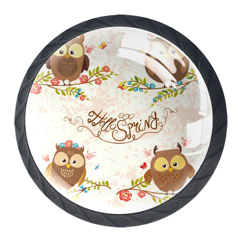 Idealiy Cartoon Owls Drawer Knob Pull Handle Cupboard Knobs with Screws 4pcs