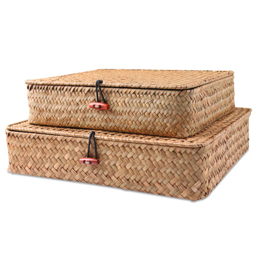 FEILANDUO Shelf Baskets with Lids Wicker Storage Baskets for Shelves Organizing Natural Seagrass Rattan Woven Organizer Boxes Boho Home Decor Set of 2 (Natural) FEILANDUO Shelf Baskets with Lids Wicker Storage Baskets for Shelves Organizing Natural Seagrass Rattan Woven Organizer Boxes Boho Home Decor Set of 2 (Natural)