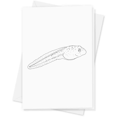 Azeeda Large (A4) 'tadpole' Blank Greeting Card (GC00049388)