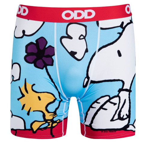 Odd Sox Charlie Brown Peanuts Comic Boxer Brief for Men, Snoopy & Woodstock, Large