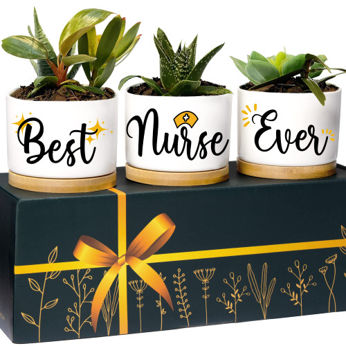 Rosa Vila Nurse Planters, Nurse Gifts for Women, RN Gifts for Nurses Week Gifts for Women, for Nurses Week Gifts 2023, School Nurse Appreciation Gifts, Nurse Graduation Gift Ideas, Nurse Gift Box