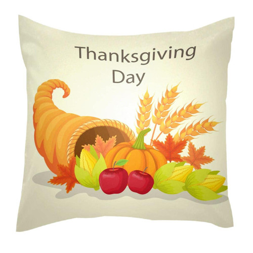 LORVIES Thanksgiving Elements Throw Pillow Covers 20 x 20 inches, 2 Pack Square Farmhouse Pillowcase, Velvet Cushion Case for Sofa Bedroom Home Decor