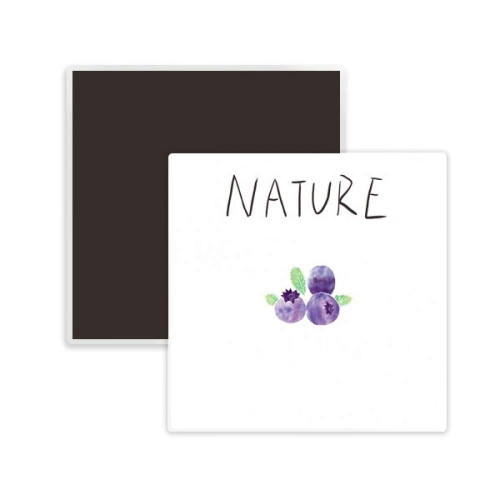 Blueberry Plant island Painting Square Ceramics Fridge Magnet Keepsake Memento