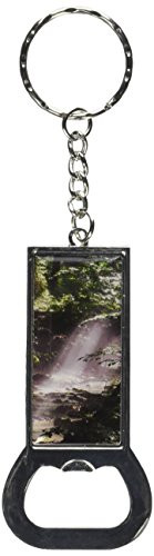 Graphics and More Bottlecap Opener Key Chain, Sunlight in the Enchanted Forest (KK2374)