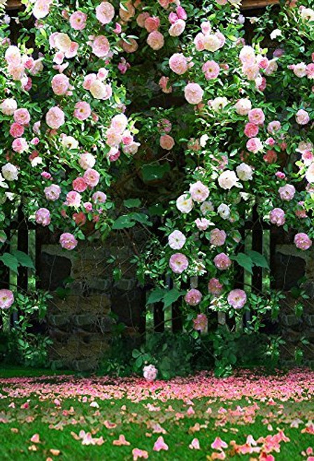 AOFOTO 5x7ft Romantic Roses Photography Studio Backdrops Wedding Sweet Garden Blossom Flowers Wall Photo Shoot Background Video Props Girlfriend Kid Baby Lady Woman Bride Adult Artistic Portrait AOFOTO 5x7ft Romantic Roses Photography Studio Backdrops Wedding Sweet Garden Blossom Flowers Wall Photo Shoot Background Video Props Girlfriend Kid Baby Lady Woman Bride Adult Artistic Portrait