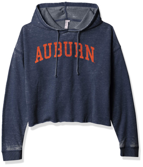 chicka-d NCAA Michigan Wolverines Womens Burnout Cropped Hoodie, Ink, X-Large