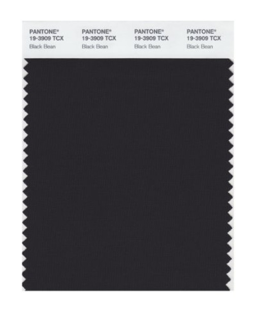 Pantone 19-3909 TCX Smart Color Swatch Card, Black Bean