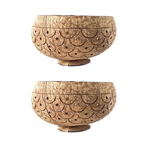 Rainforest Bowls Set of 2 Dragon Scales Coconut Planters w/ Drainage Hole- Perfect for Succulents, Flowers, Small Plants, Indoor & Outdoor Gardens- Handcarved by Artisans, Eco-Friendly & Sustainable