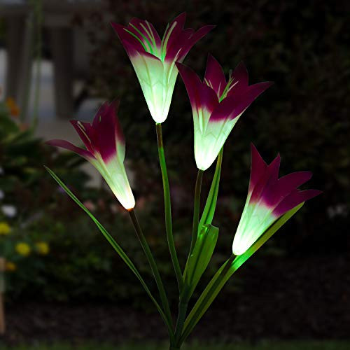 Solar Garden Stake Lights Outdoor, MayBest Solar Powered Lights, Lily Flower Lights, Multi-Color Changing LED Solar Decorative Lights for Garden Patio Yard Lawn Path (Purple) Solar Garden Stake Lights Outdoor, MayBest Solar Powered Lights, Lily Flower Lights, Multi-Color Changing LED Solar Decorative Lights for Garden Patio Yard Lawn Path (Purple)