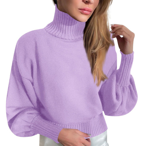 Women's Pullover Sweaters,Womens Sweaters Fall Sweaters for Women Cardigan Sweaters for Women Fall Sweaters for Women 2023 Black Sweaters for Women V Neck Sweater Women T(Light Purple,Small)