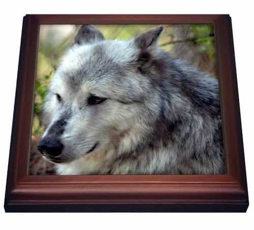 3dRose Wolf Trivet with Ceramic Tile, 8 by 8", Brown 3dRose Wolf Trivet with Ceramic Tile, 8 by 8", Brown