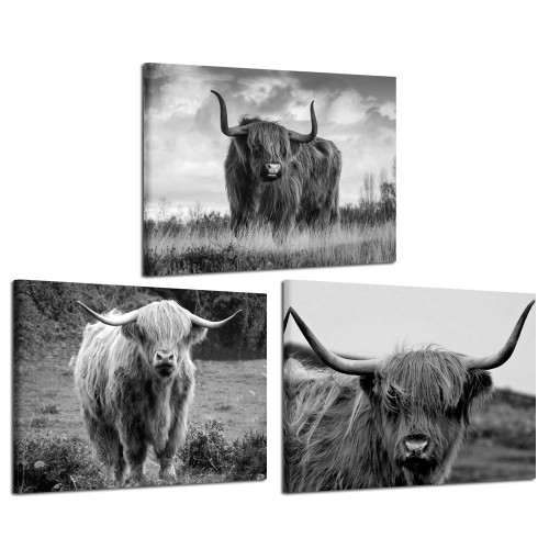 iKNOW FOTO Canvas Print Wall Art Black and White Freedom Highland Cow Pictures Painting for Living Room Bedroom Modern Home Decor Ready to Hang Stretched and Framed Artwork 12x16inchx3pcs