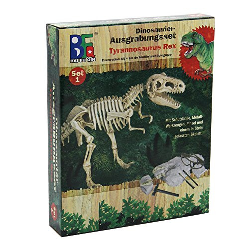 winemana Dinosaur Science Kit Dinosaur Fossil Digging Kit for Kids (A)