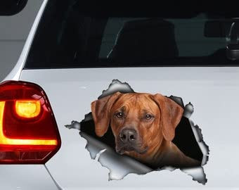Rhodesian Ridgeback car Decal, Rhodesian Ridgeback Vinyl Sticker, Rhodesian Ridgeback Sticker, Rhodesian ridgebackdecal, Dog Vinyl Sticker, Dog Decal for Car Window, Pet Decals, Dog Mom Gift.