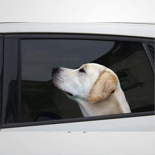Fprqlyze Yellow Lab Car Window Decal Funny Car Sticker Yellow Lab Decal Sticker for Windows Cars Trucks