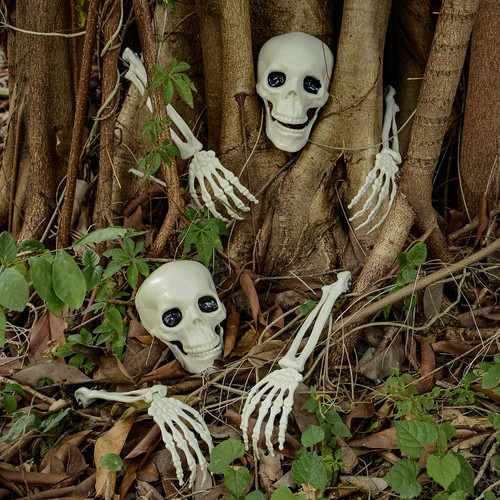 Halloween Realistic Skeleton Stakes Zombie Ghost Arm Stake Severed Plastic Skeleton Hands Yard Signs for Halloween Props Decorations (Skull and Arm Stakes- 6 Pcs)