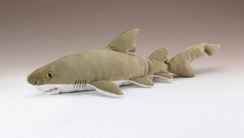 Sand Tiger Shark 12" by Wild Life Artist