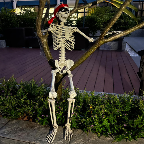Halloween Skeleton Decorations, 3FT Full Body Plastic Skeleton with Movable Joints, Posable Halloween Skeleton Decor, Perfect for Haunted House Lawn Graveyard Yard Indoor Outdoor Party