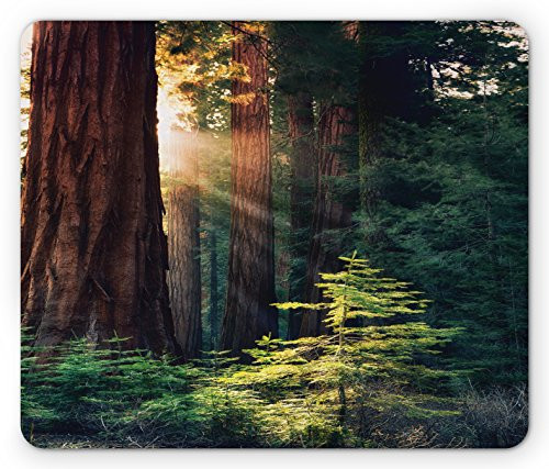 Ambesonne National Parks Mouse Pad, Morning Sunlight in Wilderness Yosemite Sierra Nevada United States Nature, Standard Size Rectangle Non-Slip Rubber Mousepad, Green Brown