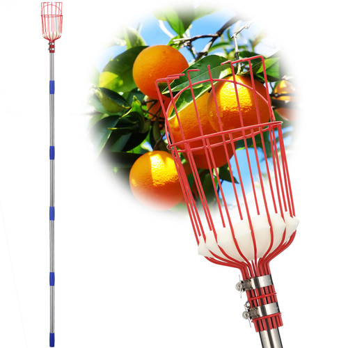 Fruit Picker Pole with Basket Long Handle, 10FT Adjustable Fruit Catcher Tool for Apple Mango Pear Orange Avocado Lemon Citrus Tree Picker