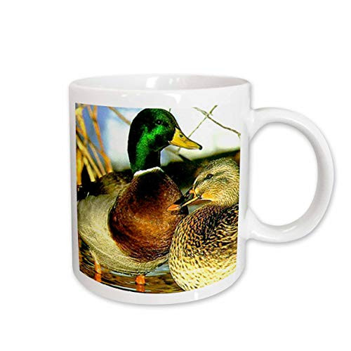 3dRose Mallard Duck Mug, 15-Ounce