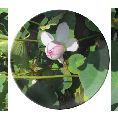 Lotus Summer Plate Decorative Porcelain Salver Tableware Dinner Dish