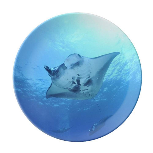 Ocean Ray Skate Science Nature Picture Plate Decorative Porcelain Salver Tableware Dinner Dish