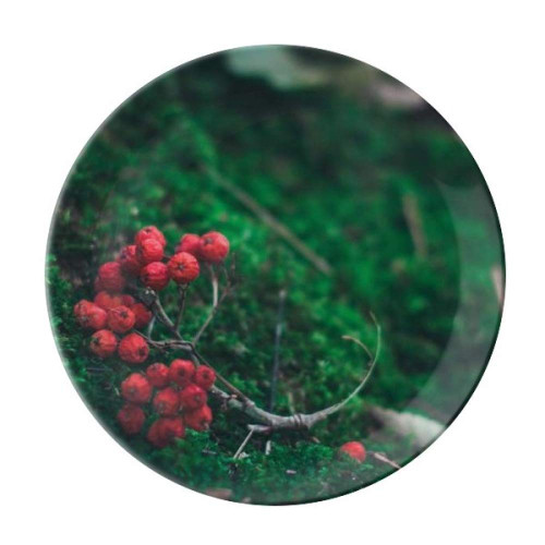 Red Fruit Forestry Science Nature Scenery Plate Decorative Porcelain Salver Tableware Dinner Dish