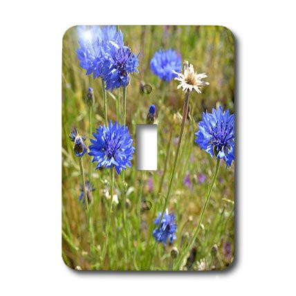 3dRose LLC lsp_22700_1 Blue Flowers, Single Toggle Switch