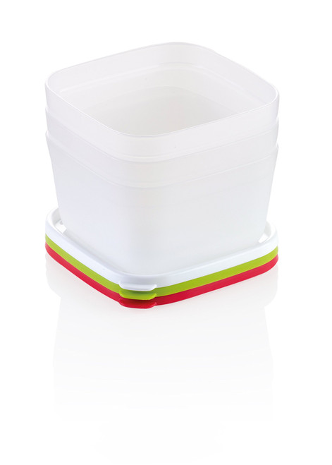 Tescoma Healthy Containers for The Freezer 0,5 L Purity, 3 Pcs, Assorted, 13.2 x 12.6 x 12 cm