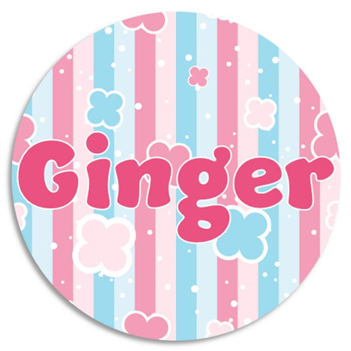 Ginger - 100 Pack Circle Stickers 3 Inch - Name Tag Water Bottle School Supplies