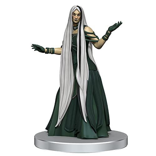Zybilna #36 - The Wild Beyond The Witchlight Set - D&D Dungeons and Dragons Medium 1" Base Painted Plastic Miniature