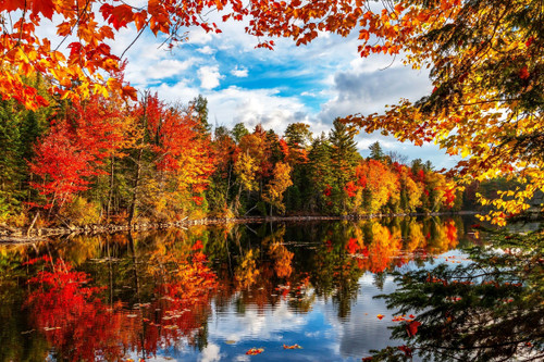 Springbok Autumn Lake - 1500 Piece Jigsaw Puzzle for Adults - Made in USA