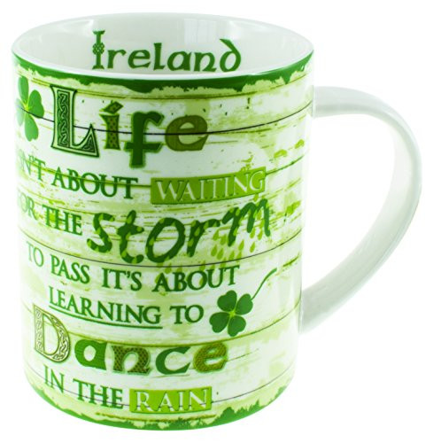 Carrolls Irish Gifts Rustic Ireland Mug - Life Storm Saying