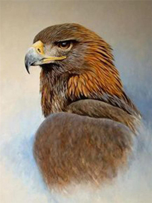 Jigsaw Puzzles for Adults, Difficult 500 Piece Puzzles for Adults and Teens/Kids, 500 Piece Jigsaw Puzzle, Intellectual Puzzle Toys for Family bird-500Pieces Jigsaw Puzzles for Adults, Difficult 500 Piece Puzzles for Adults and Teens/Kids, 500 Piece Jigsaw Puzzle, Intellectual Puzzle Toys for Family bird-500Pieces