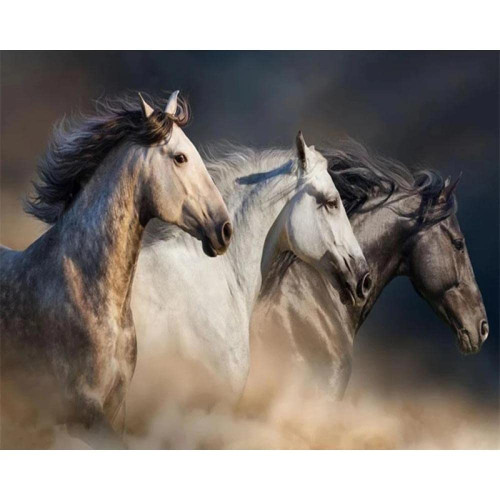 Puzzles for Adults 500 Piece Jigsaw Puzzle Educational Intellectual Decompressing Toy Puzzles Fun Family Game for Kids Adults Three horses-500Pieces Puzzles for Adults 500 Piece Jigsaw Puzzle Educational Intellectual Decompressing Toy Puzzles Fun Family Game for Kids Adults Three horses-500Pieces