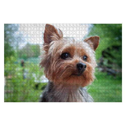Wooden Puzzle 1000 Pieces Yorkshire Terrier Jigsaw Puzzles for Children or Adults Educational Toys Decompression Game Wooden Puzzle 1000 Pieces Yorkshire Terrier Jigsaw Puzzles for Children or Adults Educational Toys Decompression Game