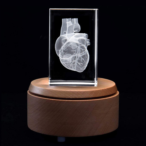 3D Human Heart Anatomical Model Paperweight(Laser Etched) in Crystal Glass Cube Science Gift (Included LED Base)