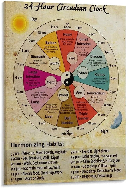 WenKa Body Organ Clock Poster Poster of Traditional Chinese Medicine Therapy for Sleep Traditional Chinese Medicine Health PosterArt Print Canvas Wall Home Living Room Decor (unframed,24x36 inch)