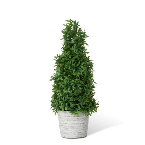 Park Hill Collection Garden Floral Mountain Savory Cone Topiary, Medium