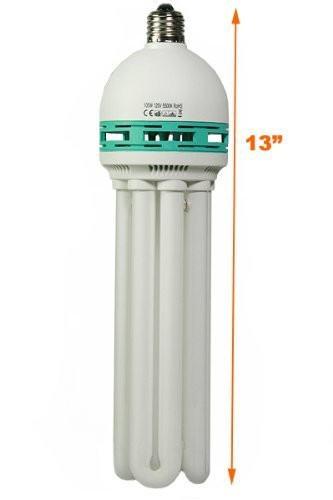 105W CFL Photography Video Cool Lights Perfect Daylight White Balanced Fluorescent Light Bulb 5500K by ePhotoINC 105WATT
