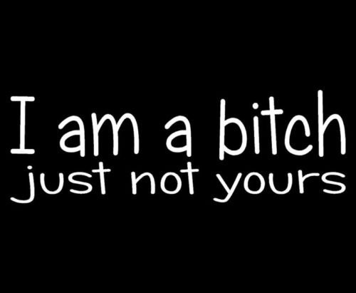 Ranger Products NOT Your Bitch Sticker Funny Girl Sexy Car Window Decal - Die Cut Vinyl Decal for Windows, Cars, Trucks, Tool Boxes, laptops, MacBook - virtually Any Hard, Smooth Surface