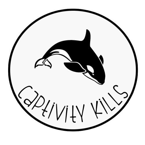 Captivity Kills Killer Whale Orca Vinyl Sticker Car Decal (6" Black)