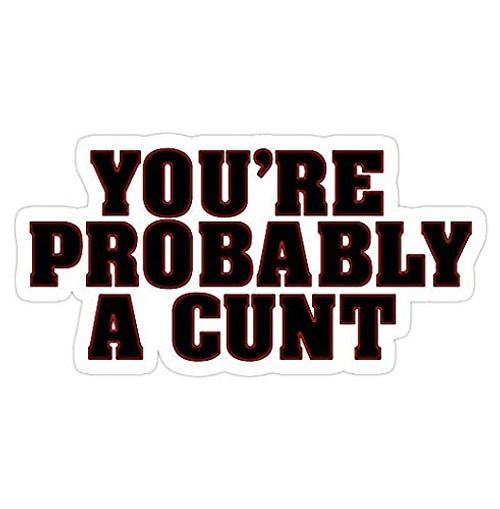 You're Probably A CUNT, twats Decal Sticker - Sticker Graphic - Auto, Wall, Laptop, Cell, Truck Sticker for Windows, Cars, Trucks