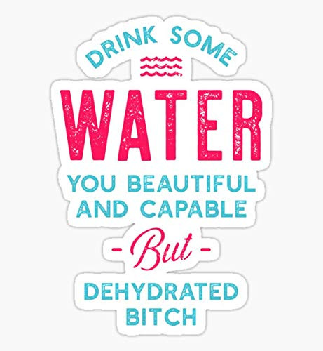 Drink Some Water You Dehydrated Bitch Sticker - Sticker Graphic - Auto, Wall, Laptop, Cell, Truck Sticker for Windows, Cars, Trucks