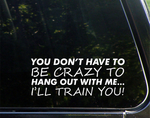 You Don't Have to Be Crazy to Hang Out with Me, I'll Train You! - for Cars Funny Car Vinyl Bumper Sticker Window Decal | White | 8.75" inch