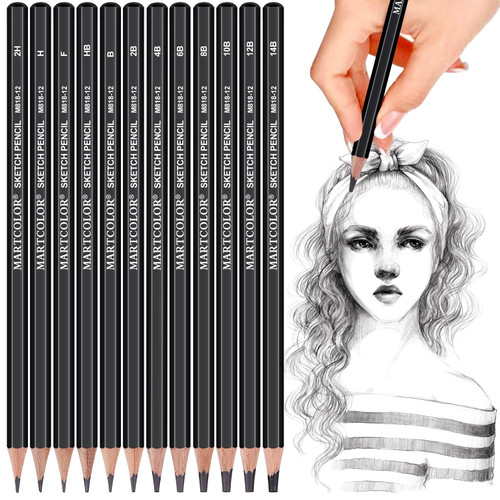 YUANCHENG Professional Drawing Sketching Pencil Set - 12 Pieces,Graphite,(14B - 2H), Graphite Pencils for Drawing, Shading Pencils for Sketching, Art Pencils for Drawing and Shading