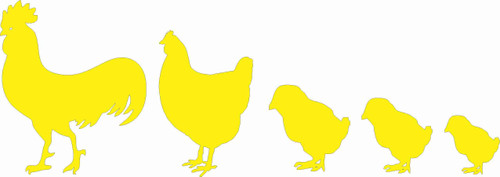 Barking Sand Designs Chicken Family Yellow - Die Cut Vinyl Window Decal/Sticker for Car/Truck 8.5"x3" Barking Sand Designs Chicken Family Yellow - Die Cut Vinyl Window Decal/Sticker for Car/Truck 8.5"x3"