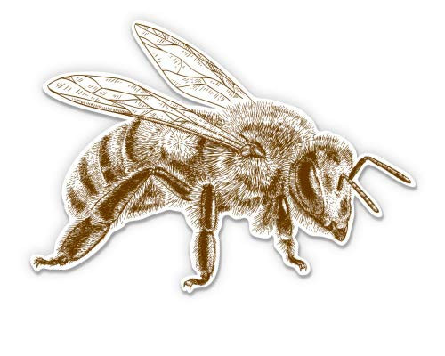 Honey Bee - 3" Vinyl Sticker - for Car Laptop I-Pad Phone Helmet Hard Hat - Waterproof Decal Honey Bee - 3" Vinyl Sticker - for Car Laptop I-Pad Phone Helmet Hard Hat - Waterproof Decal