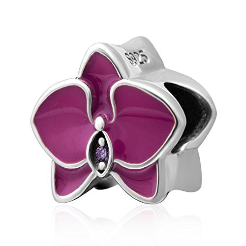 925 Sterling Silver Flower Charm Orchid Charm Love Charm Anniversary Charm ChristmasCharm for Pandora Charms Bracelet (Rose red) 925 Sterling Silver Flower Charm Orchid Charm Love Charm Anniversary Charm ChristmasCharm for Pandora Charms Bracelet (Rose red)